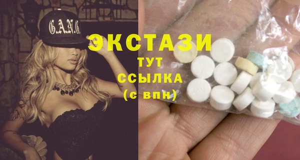 СК Туринск