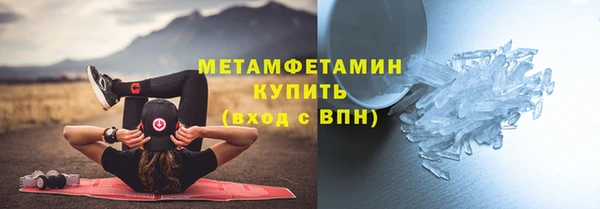 шишки Курчалой