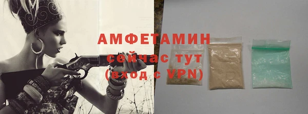 СК Туринск