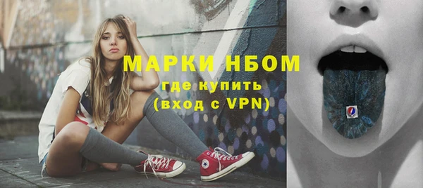 СК Туринск