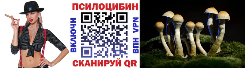 ссылка на мегу сайт  Екатеринбург  Галлюциногенные грибы Cubensis 