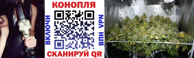 МАРИХУАНА THC 21%  купить наркоту  Екатеринбург 